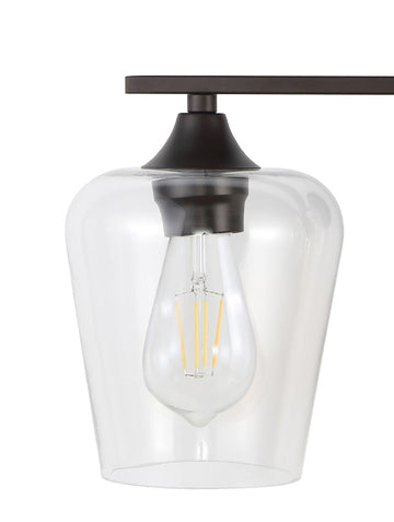 Jayne Iron/Glass Cottage Rustic LED Vanity Light